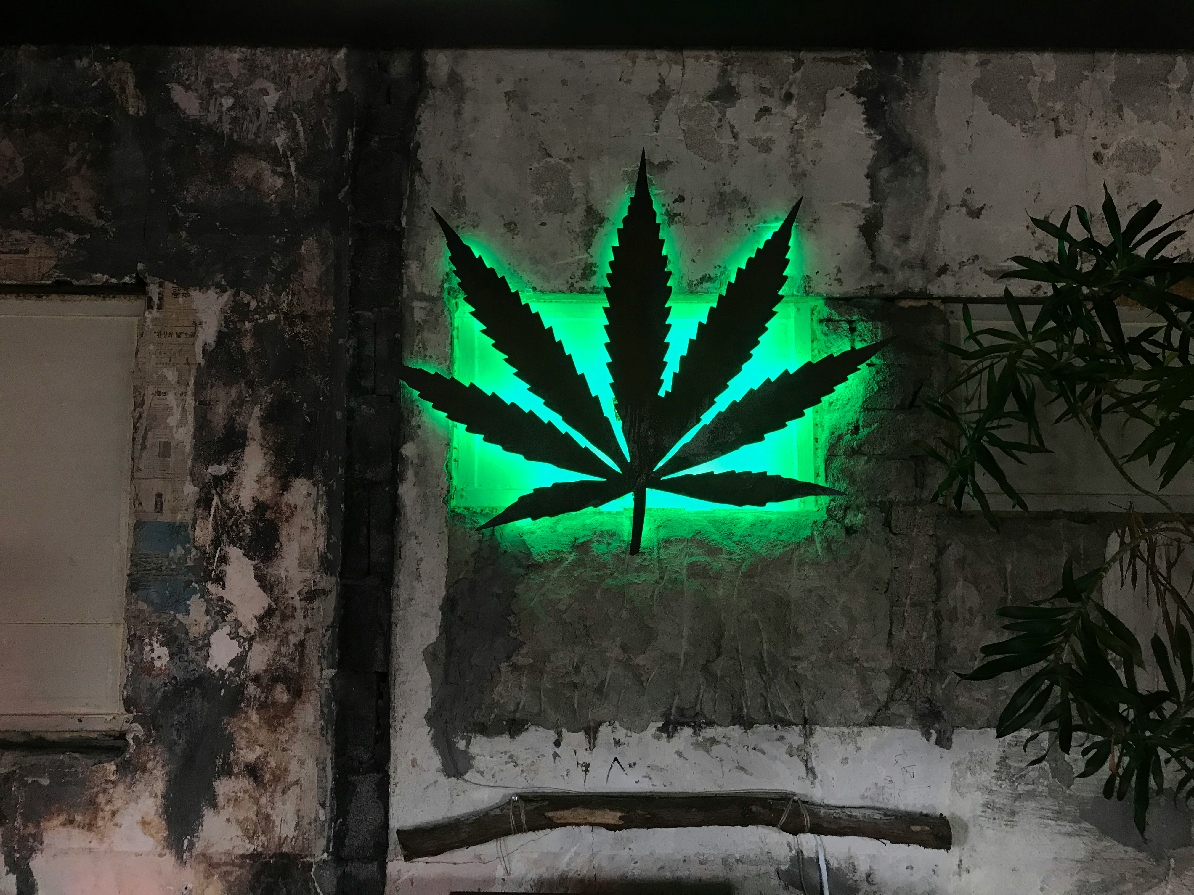 Marijuana img of love